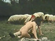 Sexo grego vintage sheep prairie